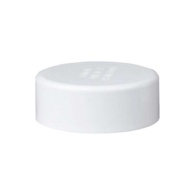 ASTM Standard UPVC End Cap